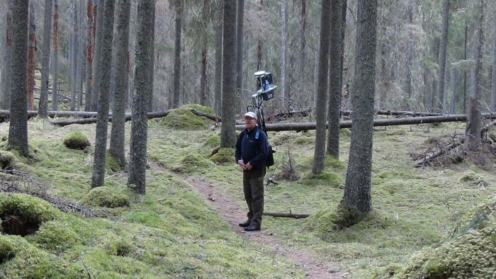 Types of term paper image