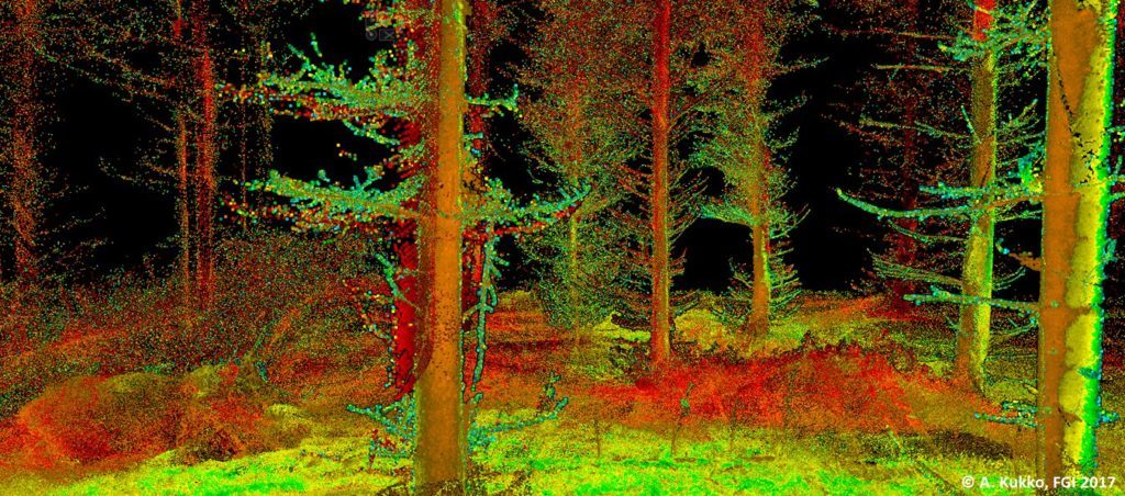 GraphSLAM corrected forest pointcloud