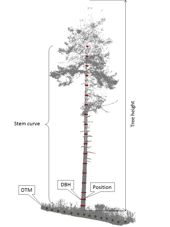 Five criteria extracted from TLS data at the plot- and tree-level