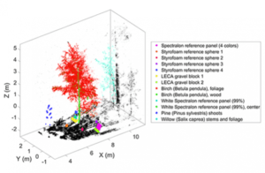 Presentation of hyperspectral data of a birch tree