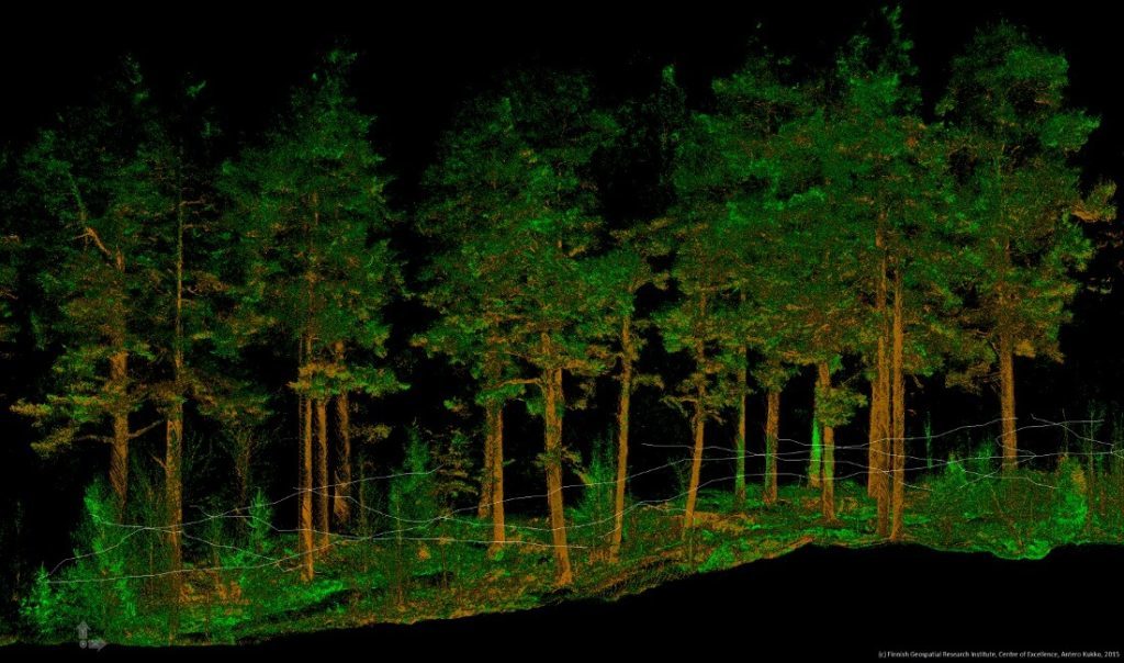 Image of laserscanned trees. Backpack system allows data acquisition in environments, which have before been hard, or even impossible, to reach with “conventional” wheeled mobile laser scanning systems (MLS).