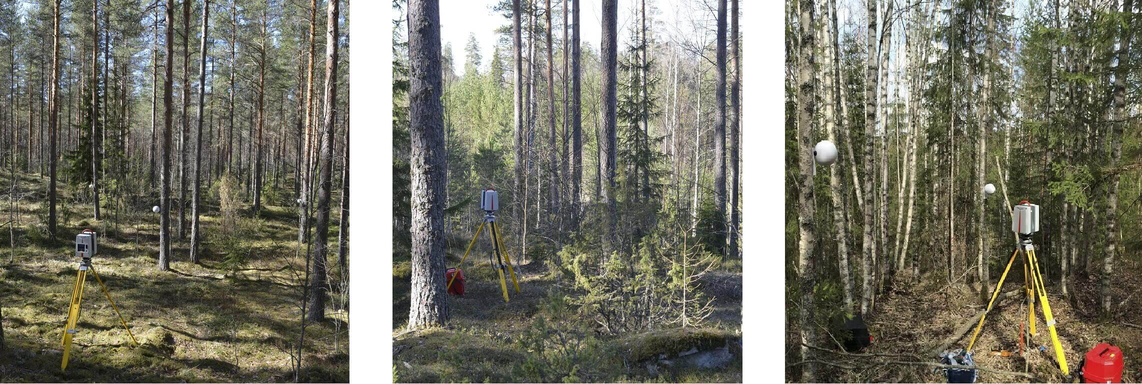 Terrestrial laser scanning equipment in a forest